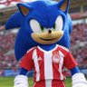 Фото профиля sonic the legend 7