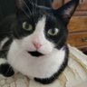 Фото профиля Kyle and Catniss