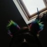 legal drug dealer's profile picture