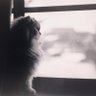 Фото профиля たぬき寝入り