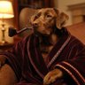 DJ Doggie Doo™ 🐶🍷's profile picture