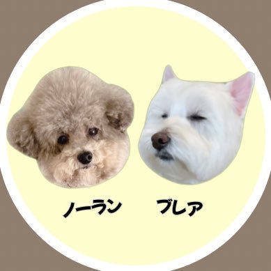 noiblair's profile picture