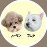 ノーランとブレアの日常's profile picture