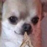 Profilbild von Whispers