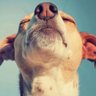 John F. ๐ซ's profile picture