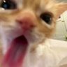 rosie profil fotoğrafı