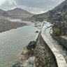 Oman S profil fotoğrafı
