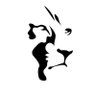 A_K_fazli's profile picture