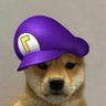 Nc NaKamoto's profile picture