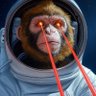 Profilbild von Flown