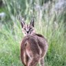 RM profil fotoğrafı