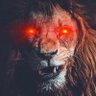 Locked In₿'s profile picture