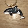 Dolphin🐬 的头像