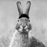 Profilbild von Super_Tacha