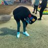 Domtoretto's profile picture