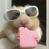 Profilbild von MANUZINHA VIU A TAYLOR 24/11 SP