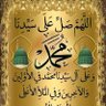 ahmed omran's profile picture