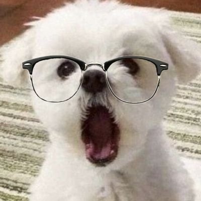 깡구's profile picture