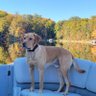Peggy A's profile picture