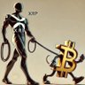 mrxcrypto's profile picture