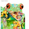 蛙。 profil fotoğrafı