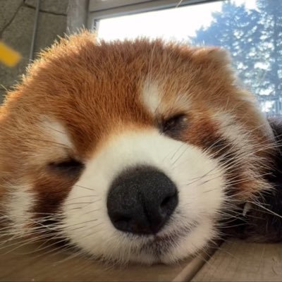 Funnadpusa's profile picture