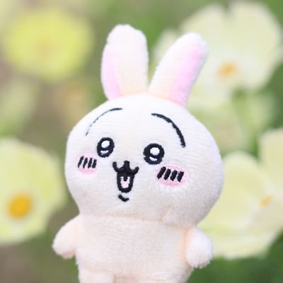 みかち's profile picture