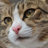 golers profil fotoğrafı