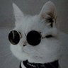 Profilbild von J A R V I S