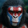 Borimexikan's profile picture