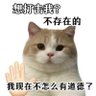 圆圆's profile picture