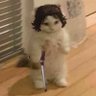 perdi's profile picture