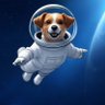 Space Cadet profil fotoğrafı