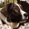 Profilbild von Lana