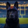 DogGoneBears profil fotoğrafı