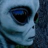 Profilbild von Christopher420