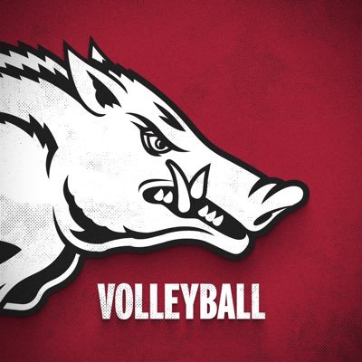 RazorbackVB's profile picture