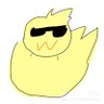 Profilbild von ducky