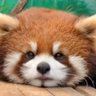 あきさん 的头像