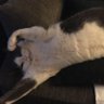 Cindy's profile picture