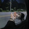 Profilbild von 杭州资深楼凤玩家