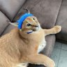harpnar's profile picture