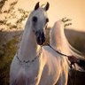 Фото профиля احمد زيدان
