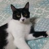 Profilbild von h.e