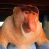 Profilbild von pookie