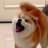 Profilbild von Ruby