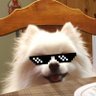 gary 的头像
