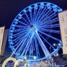 annalia pacini 的头像