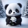 Profilbild von Pandapow