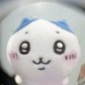 Profilbild von ぬ